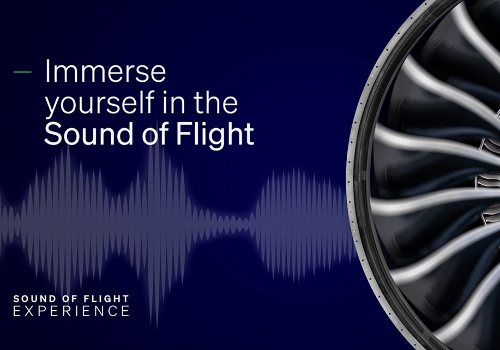 The Sound of Flight
