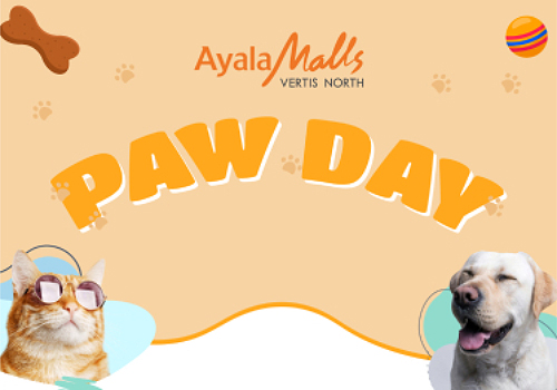 PAW Day: PAWsitive Connections