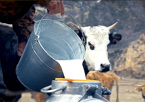 2025 TITAN Business Winner - Flake Feed Production Facility