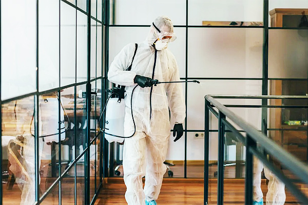 Strong Brand Recognition Drives Growth for Total Clean Services